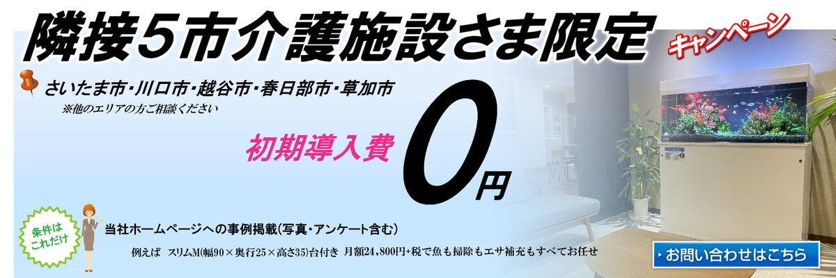 介護施設　熱帯魚水槽導入