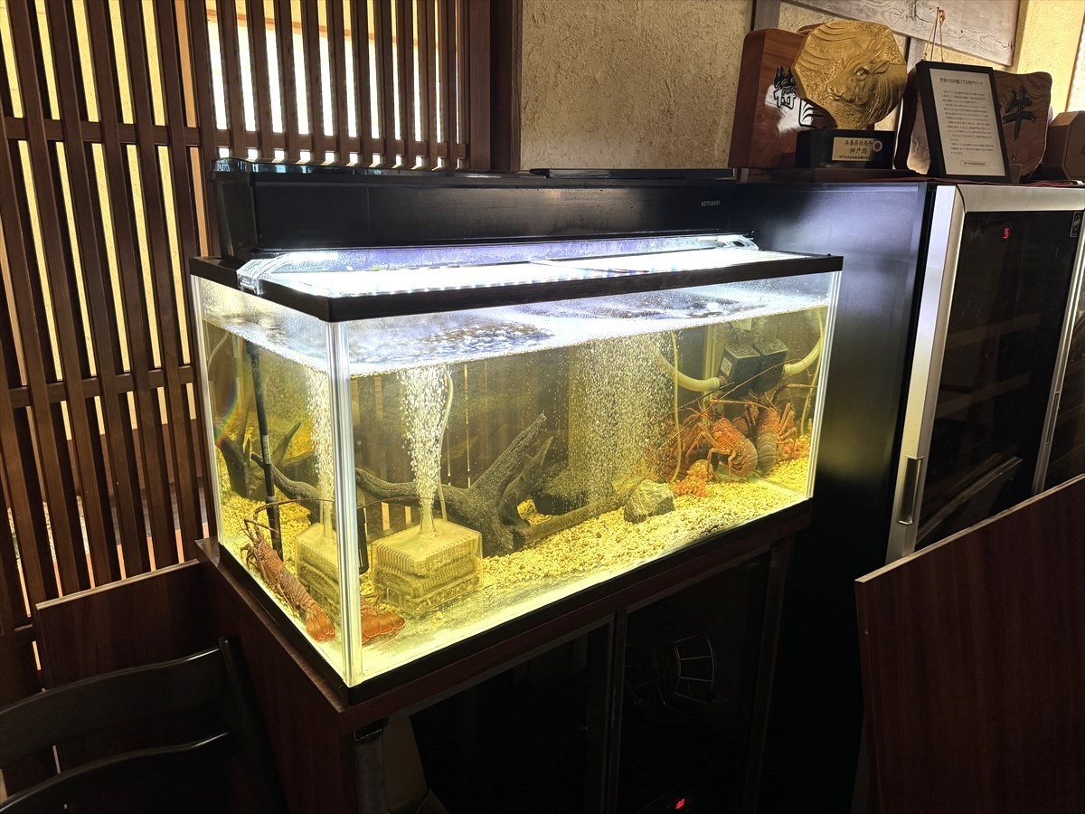 活魚水槽　結露