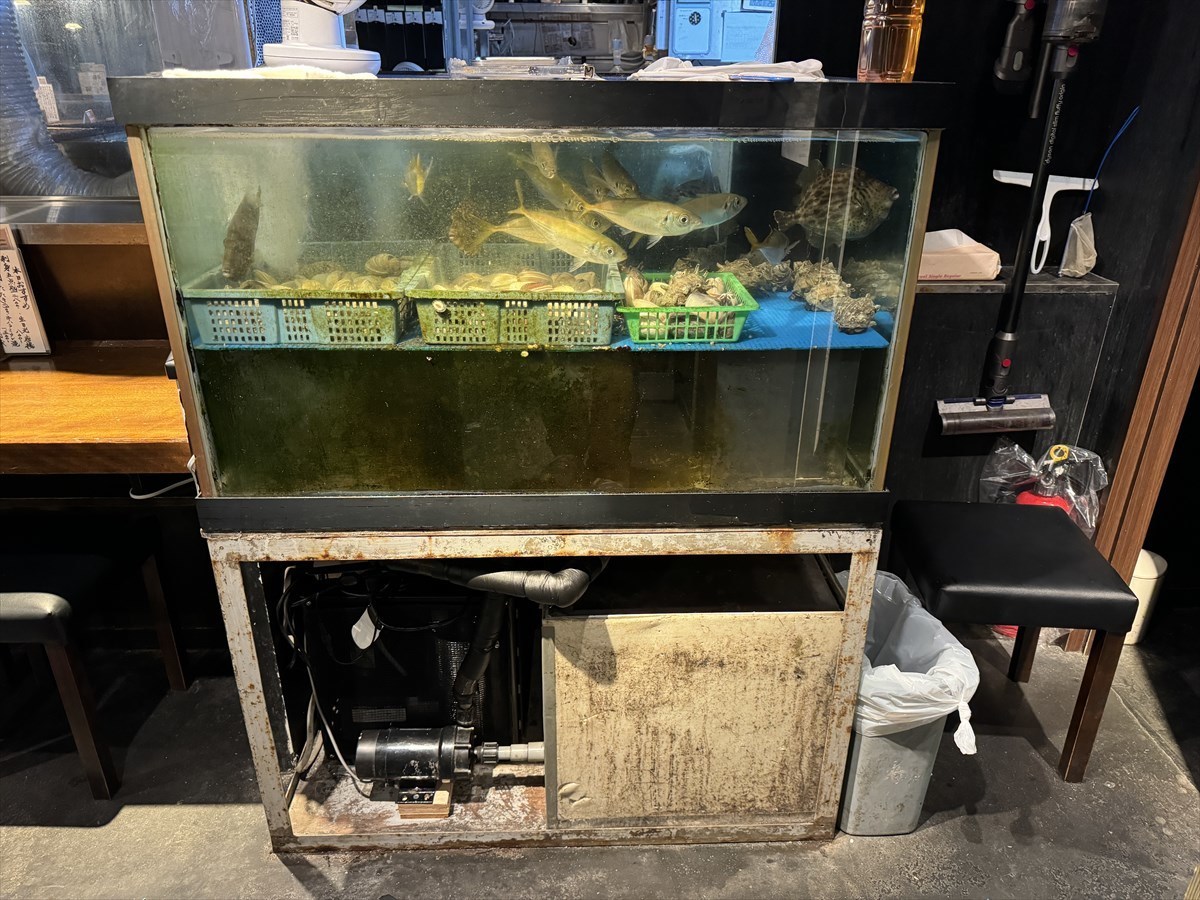 活魚水槽　掃除業者