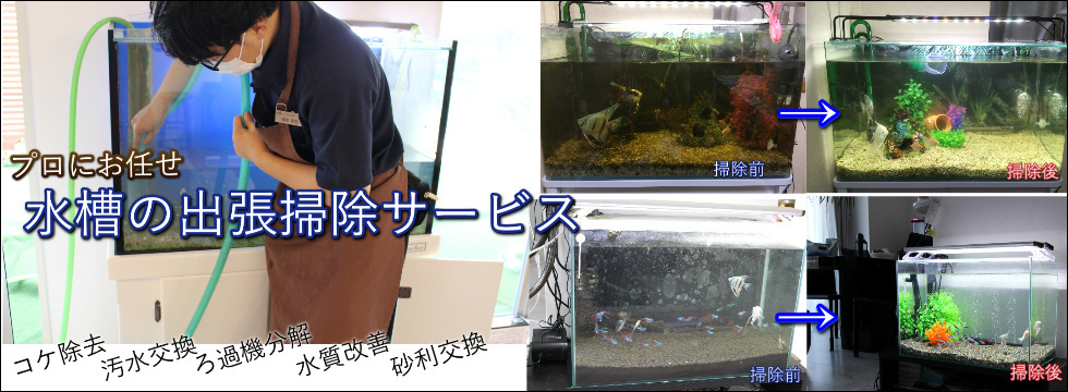 水槽掃除業者
