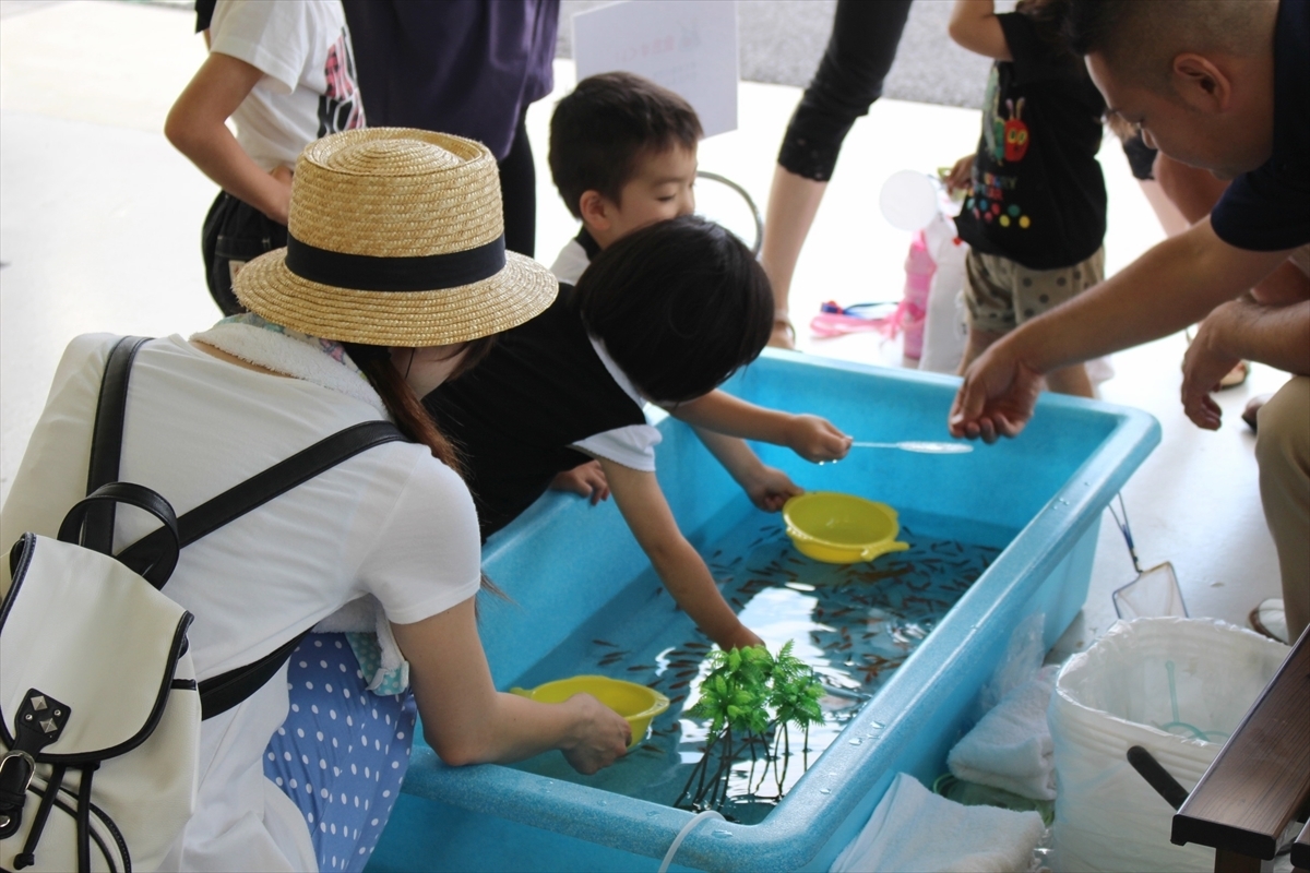 金魚すくい　家族