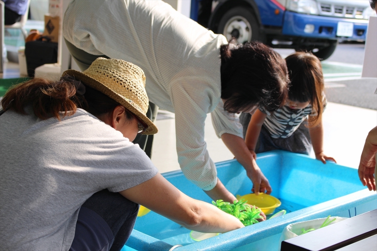 金魚すくい　3世代