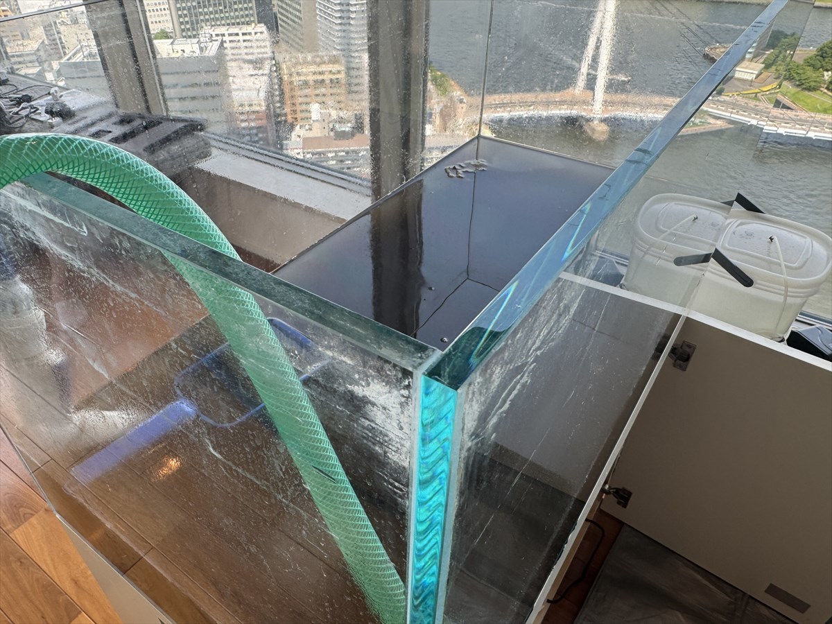 水槽　出張掃除業者