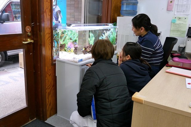 海水魚水槽　レンタル