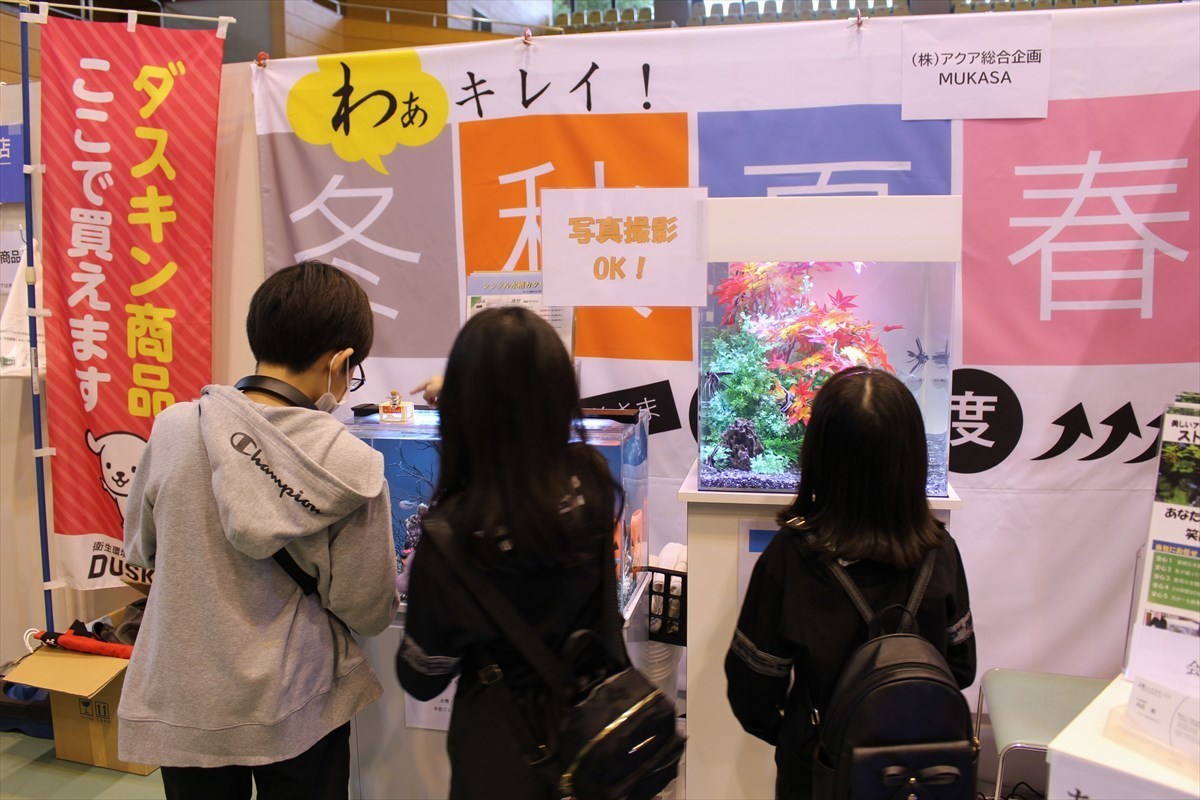 こしがや産業フェスタ　熱帯魚水槽