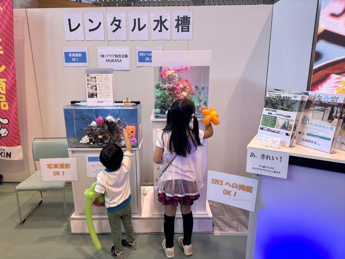 こしがや産業フェスタ　レンタル熱帯魚