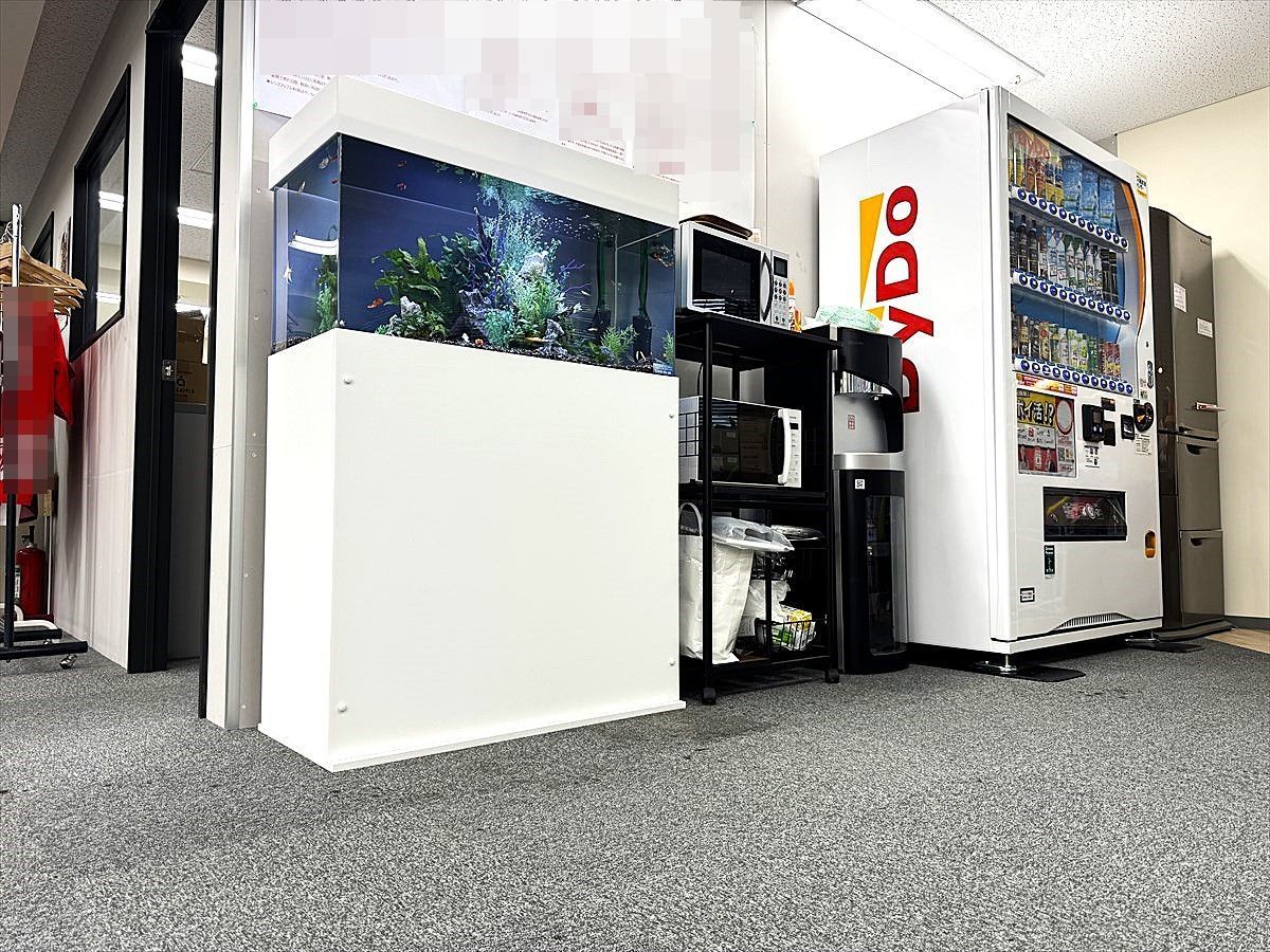 水槽レンタルサービス