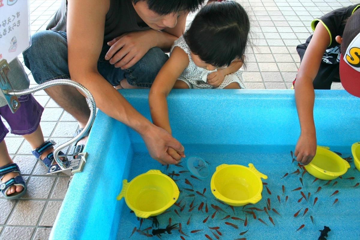 金魚すくい一式レンタル