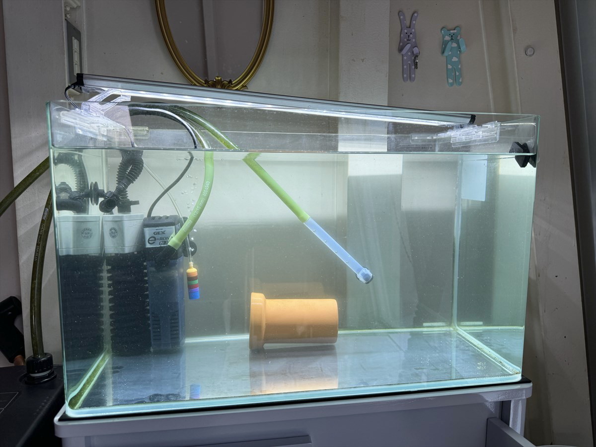 水槽　リセット