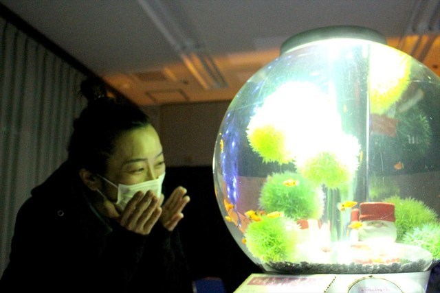移動水族館　都内