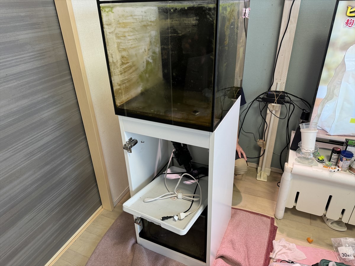 リーファーナノ水槽　移動作業