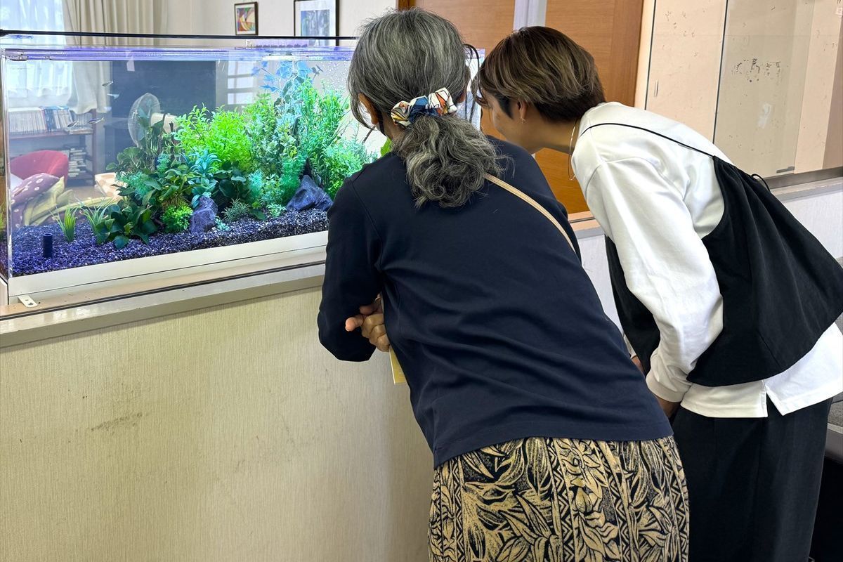 水槽　レンタルサービス業者