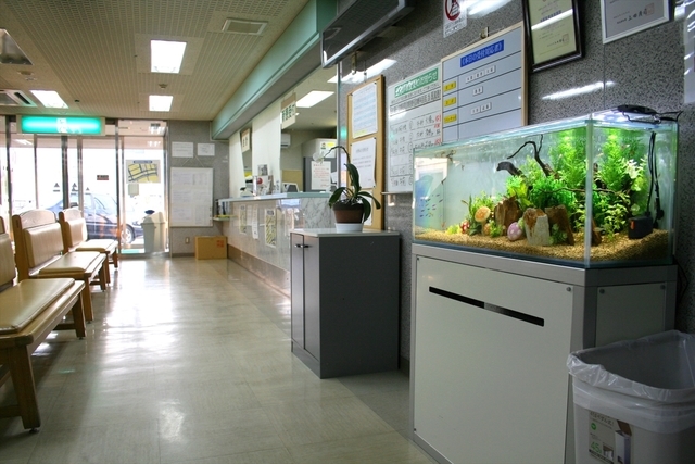 埼玉県越谷市　病院の水槽