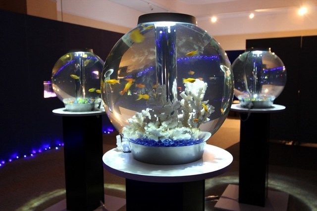 移動水族館　群馬県