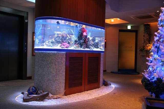 海水魚水槽　ホテル