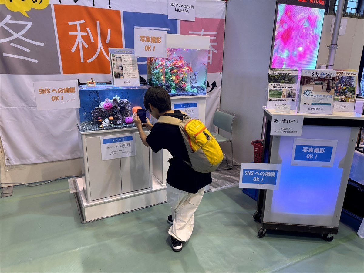 こしがや産業フェスタ　水槽