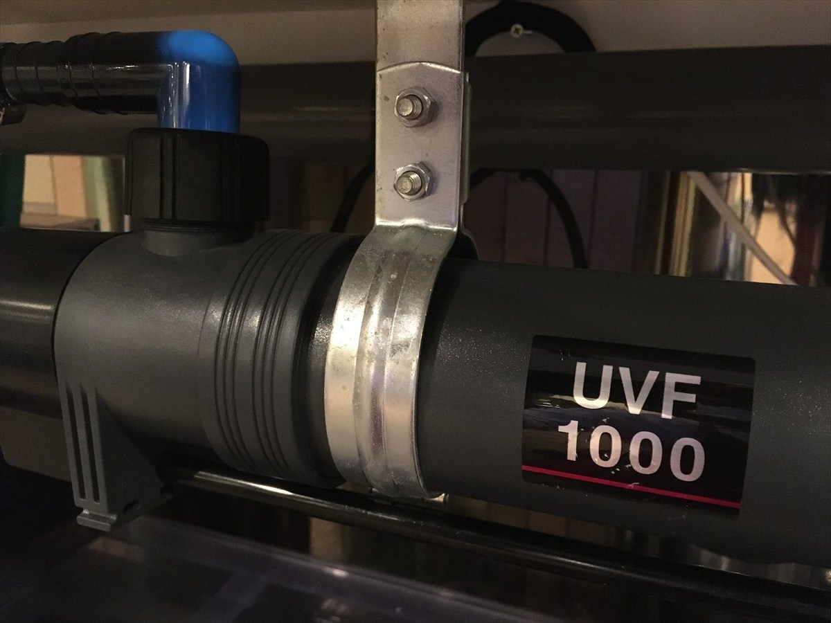 UVF1000
