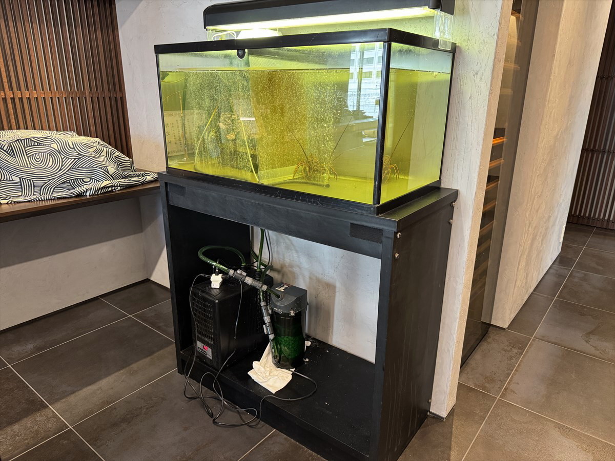 活魚水槽　現状