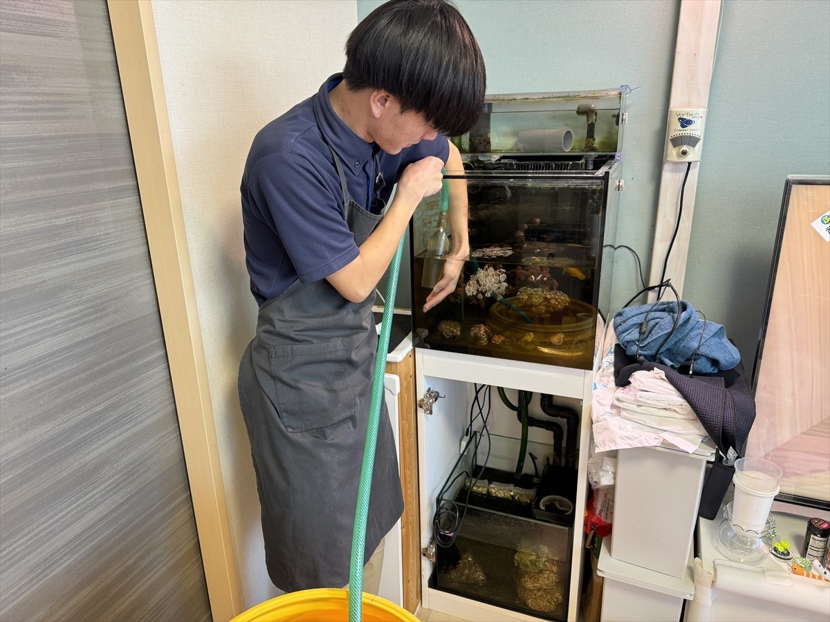 水槽　掃除業者