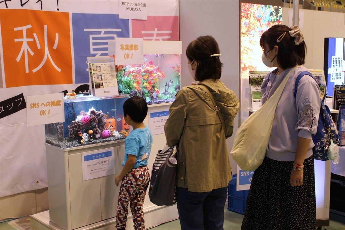 こしがや産業フェスタ　熱帯魚水槽