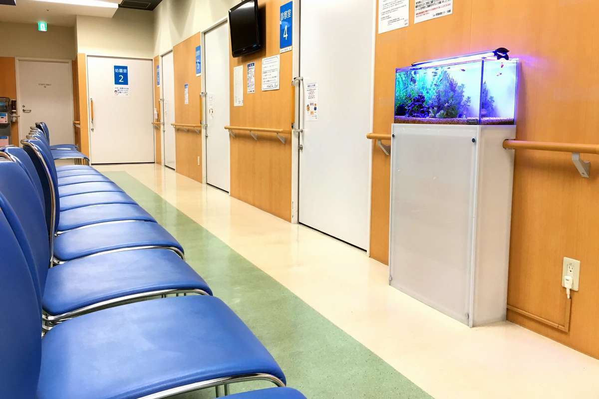 板橋区病院　待合室　水槽