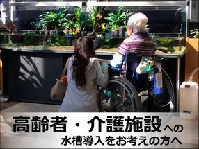 介護設への水槽レンタルサービス