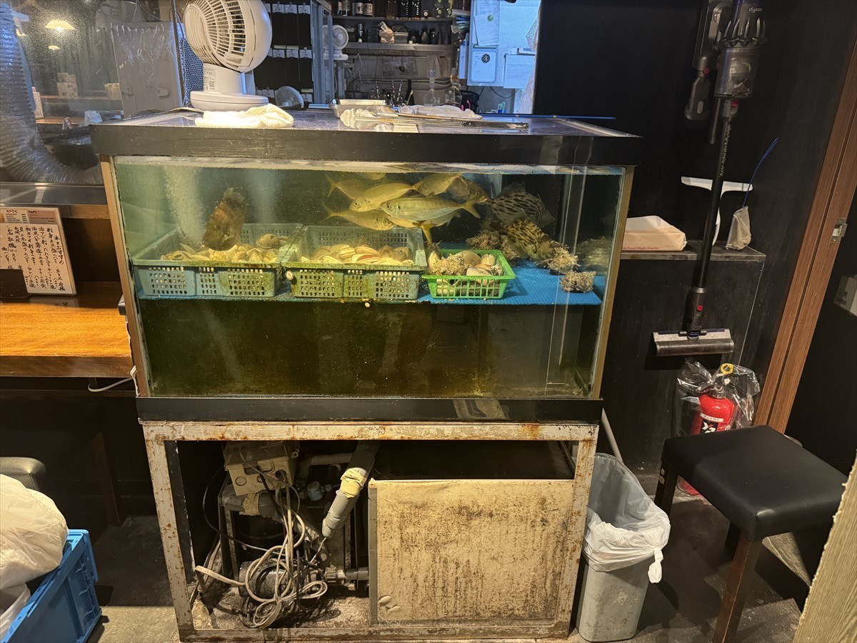 活魚水槽　クーラー故障