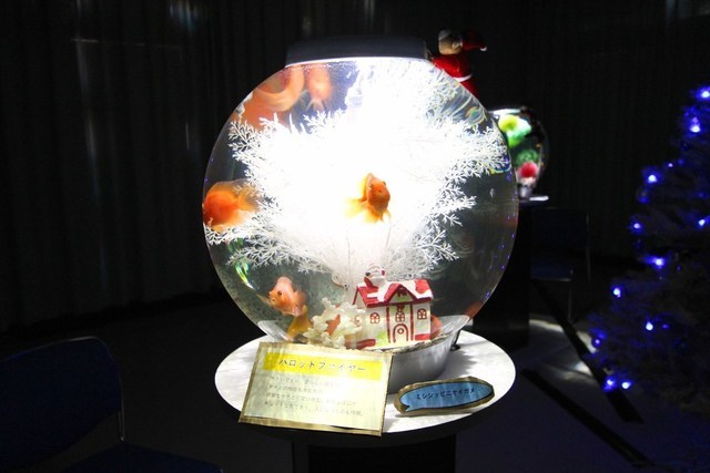 移動水族館　東京都