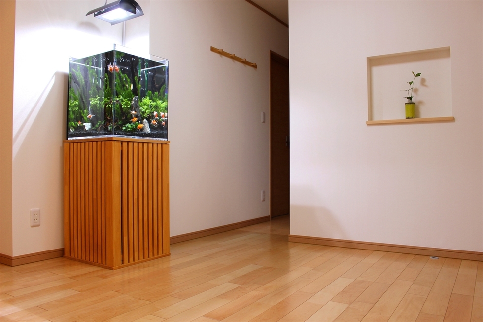 個人宅への熱帯魚水槽導入例 アクア総合企画mukasa