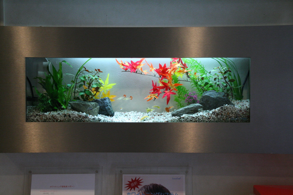 熱帯魚が泳ぐ薄型壁掛け水槽 水槽レンタルサービス