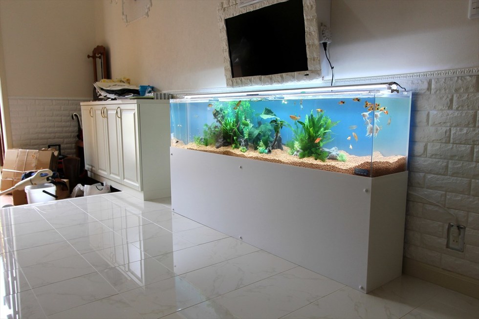 個人宅への熱帯魚水槽導入例 アクア総合企画mukasa